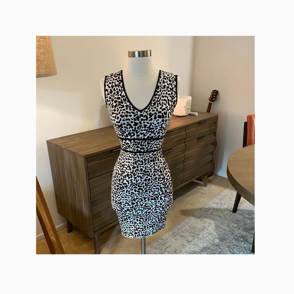b c b g . l e o p a r d . d r e s s - Picture 4 of 8